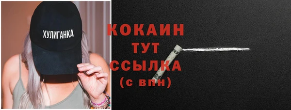 spice Гусев