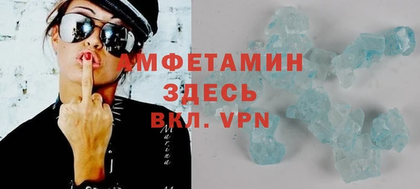 индика Новозыбков