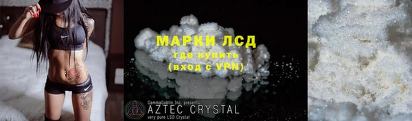 spice Гусев