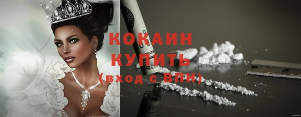 spice Гусев