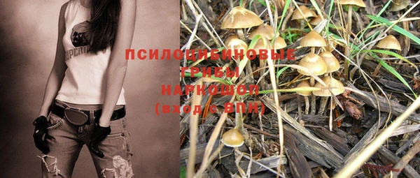 экстази Гусь-Хрустальный