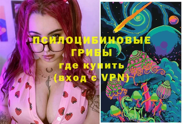 spice Гусев