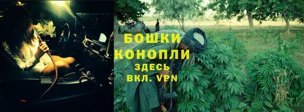 крисы Тихвин