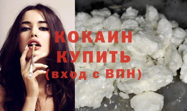 spice Гусев