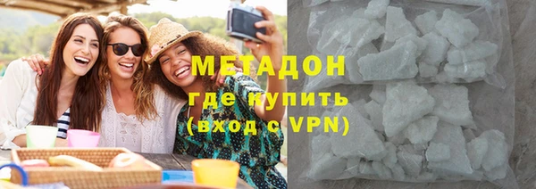 индика Новозыбков