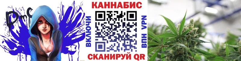 гидра ССЫЛКА  Светлогорск  Каннабис конопля 